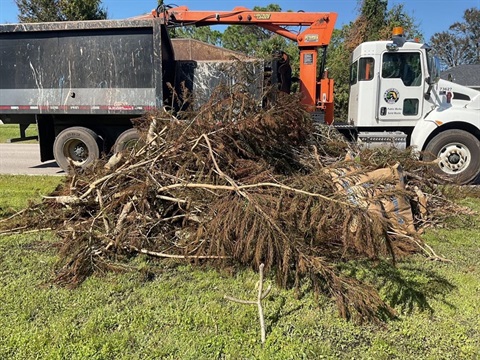 A North Port Solid Waste truck picking up yard waste.