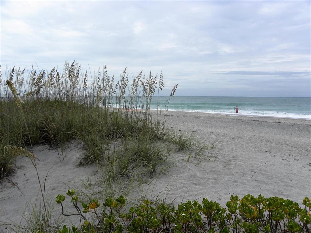 Beaches Near North Port Florida