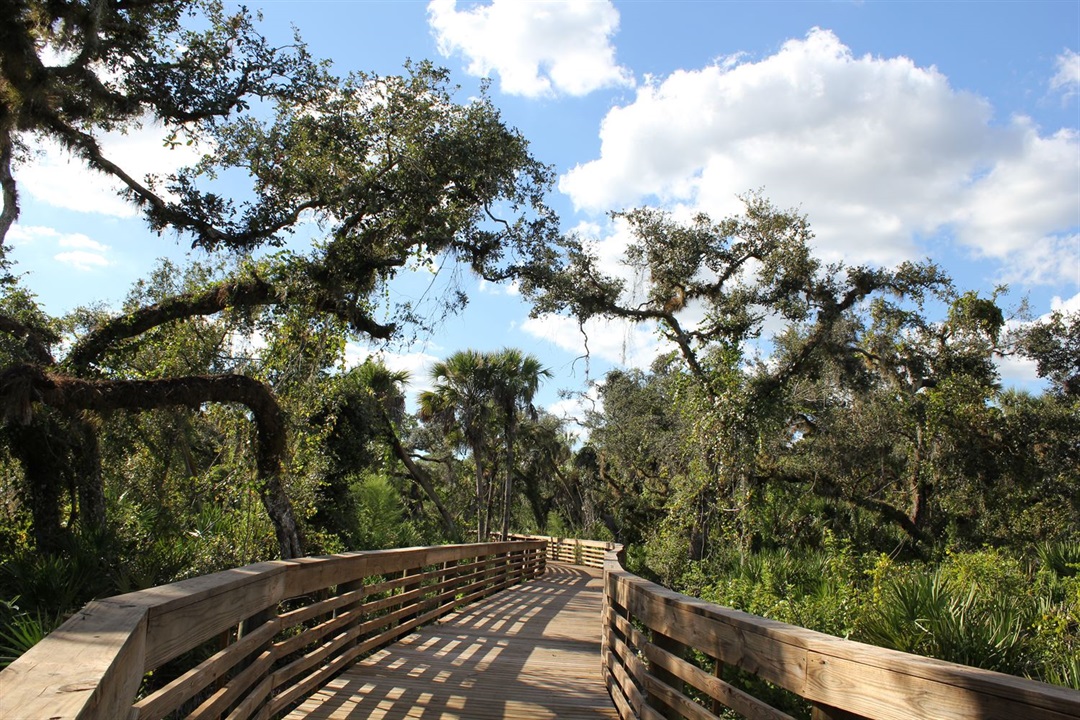 Best Hikes and Trails in North Port